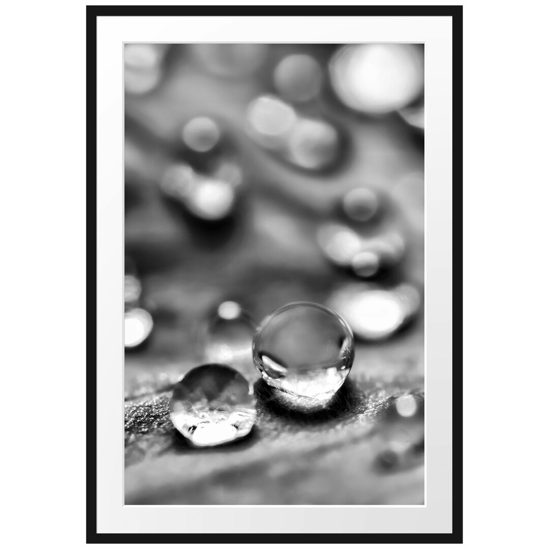 Gerahmtes Poster Wassertropfen auf Blatt