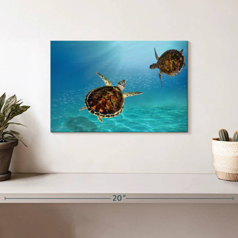 Tortues imbriquées sous l'eau, H 8 po x l 12 po