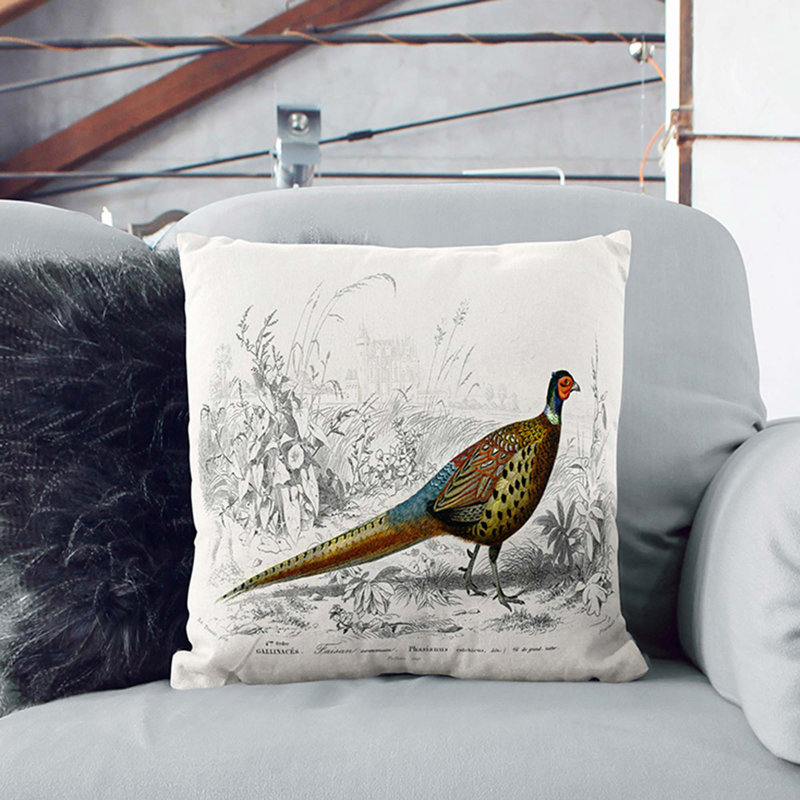 Pheasant Illustration by Charles D' Orbigny Cushion with Filling, White, 40cm H x 40cm W x 15cm D