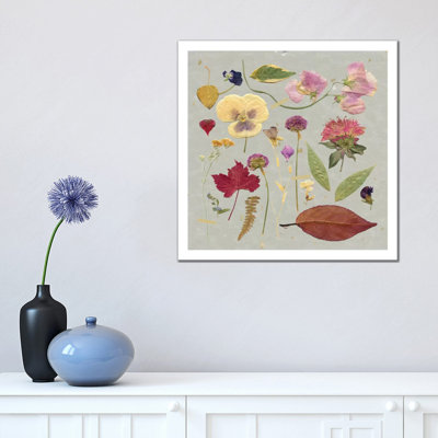 Pressed Assortment II by Carol Robinson - Wrapped Canvas Gallery-Wrapped Canvas Giclée