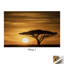 Print on Canvas-1813106513-1813106520
