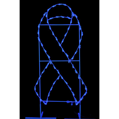 6' Awareness Ribbon