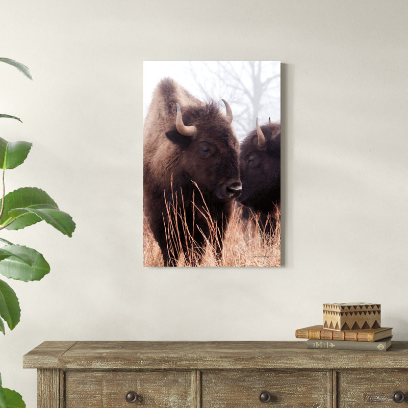 " American Bison VI " by Debra Van Swearingen, 30" H x 20" W