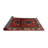 Oriental Indoor Rug-1676775054