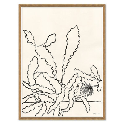 Sedum Giclee Print by Susan Hable