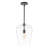 1 - Light Oil Rubbed Bronze/Clear Single Pendant