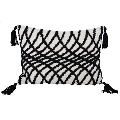 Tassels Pillow Insert