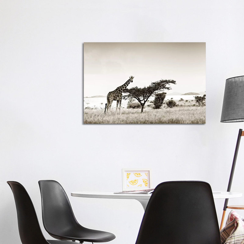 Solitary Giraffe by Klaus Tiedge - Wrapped Canvas Print, 101.6 cm H x 66.04 cm W x 1.91 cm D