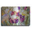 «Iris Garden I» par Sharon Pitts, Me-645197243