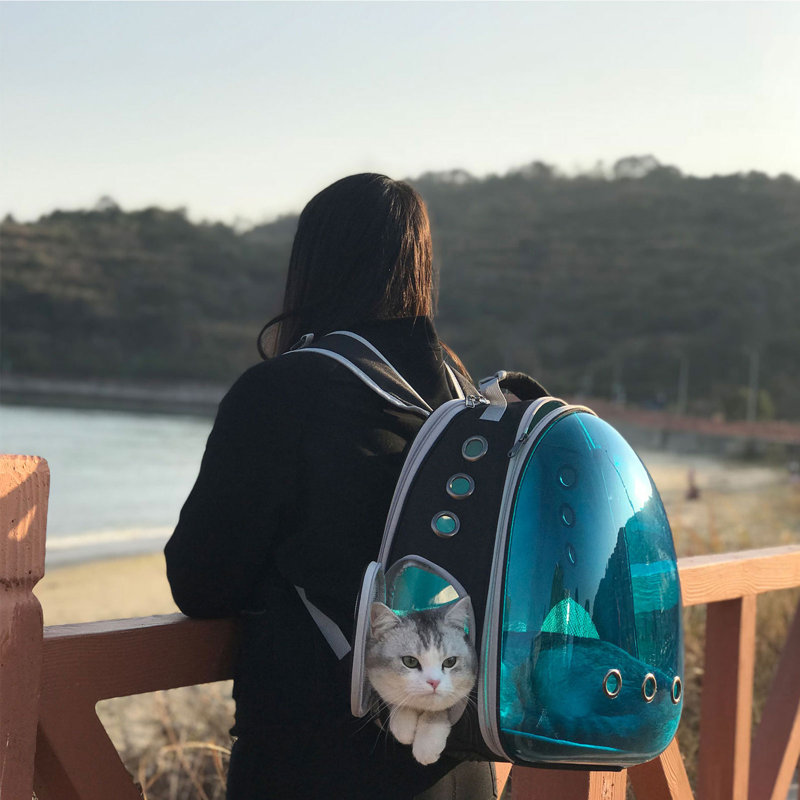 Sac à dos de transport pour chat Tint Blue Bubble Window avec extension dorsale, jusqu'à 5,4 kg, Medium, Blue