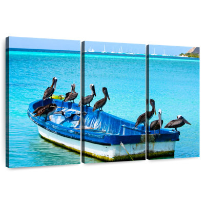 Brampt Pelicans On A Boat