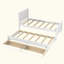 Platform Bed with Trundle and Drawers
