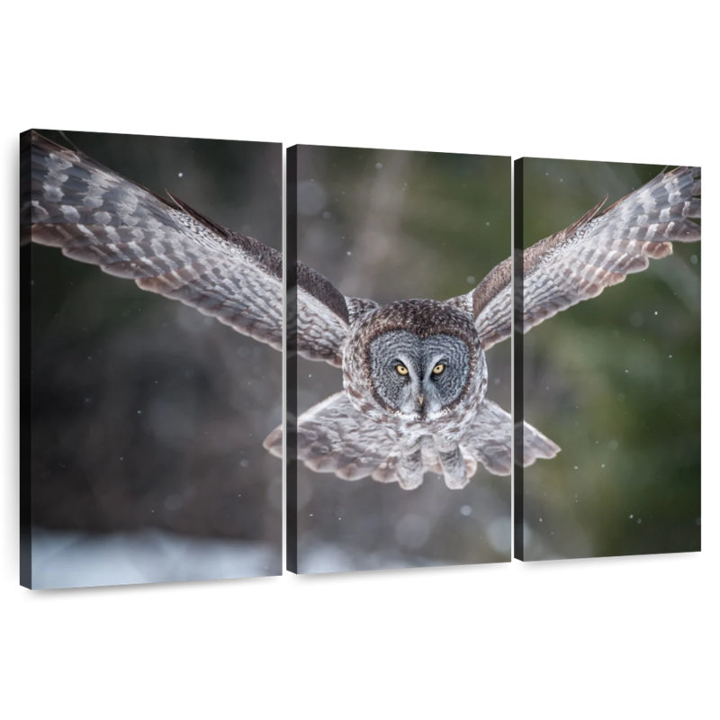Flying Winter Owl, 32" H x 50" W
