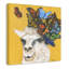 Llama Animals-47358971-47565697