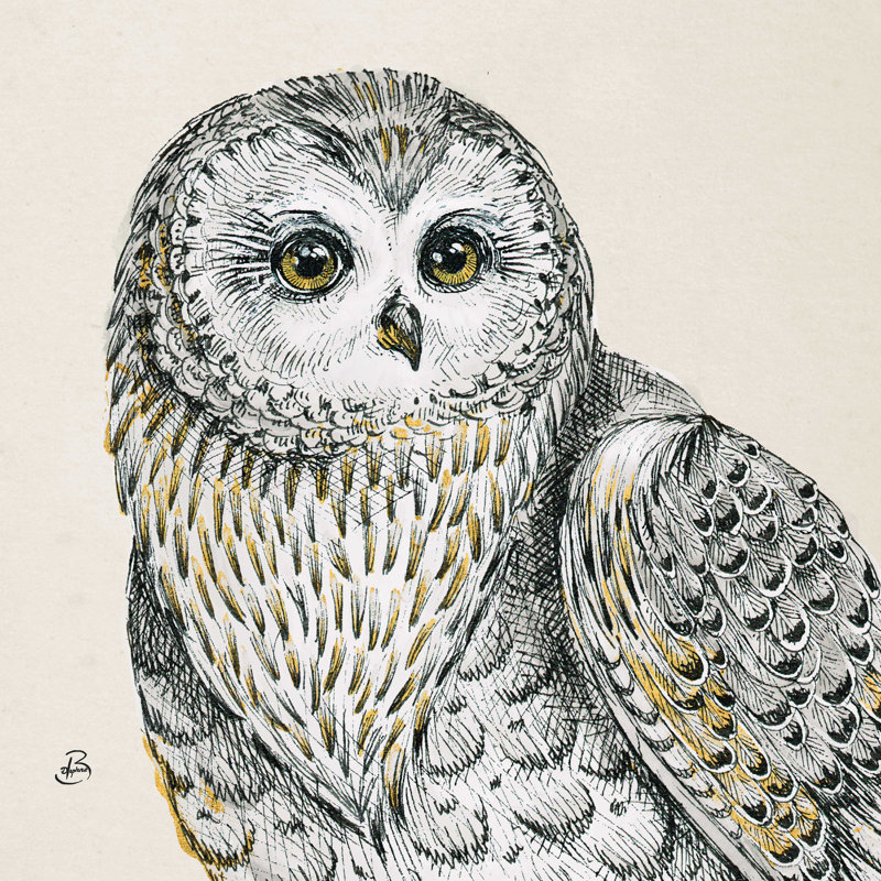 Beautiful Owls IV - rétro, H 30 po x l 30 po