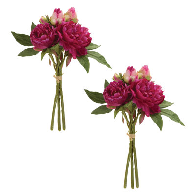 Ensemble de pivoines florales