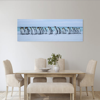 King Penguin March Contemporary Bird Penguin Coastal Wall Art