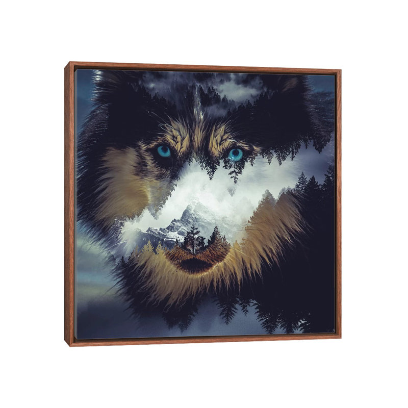 Dog by Paul Haag - Print on Canvas, 66.04 cm H x 66.04 cm W, Classic Brown Wood Framed