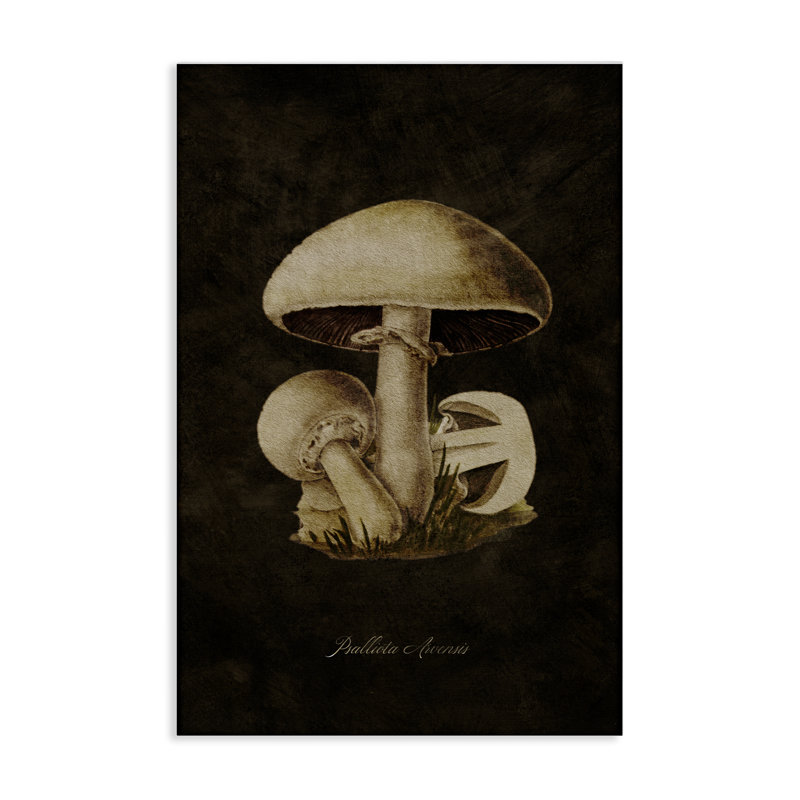 «Portobello Mushroom Study», art mural par Tina Higgins Designs, Inc., H 24 po x l 16 po