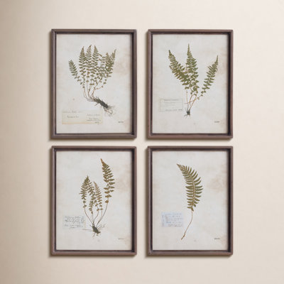 Lowery Petite Frond Botanist Notes Prints, Set of 4