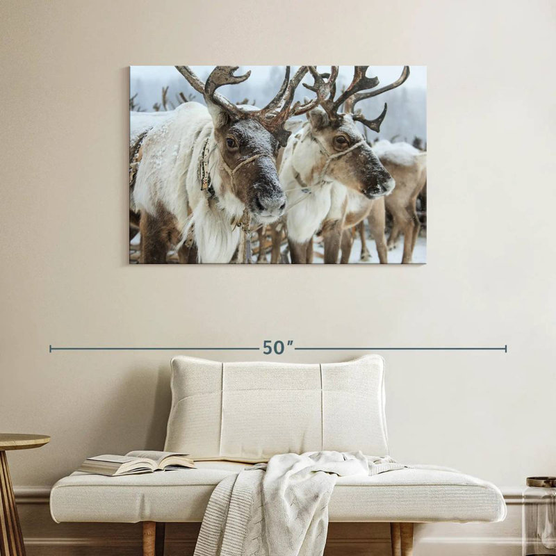 Snow Reindeer, 26" H x 39" W