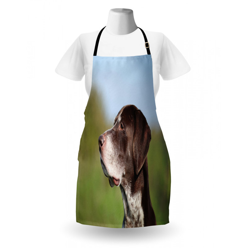 Bib Apron