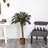 Faux Palm Tree in Wicker/Rattan Basket-1742963075