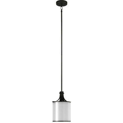 Luminaire suspendu cylindrique 1 lumière