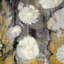 Evangeline Fabric