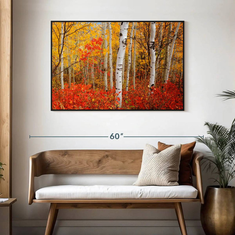Bouleaux d'automne, 46 po x 31 po, Cadre flottant noir