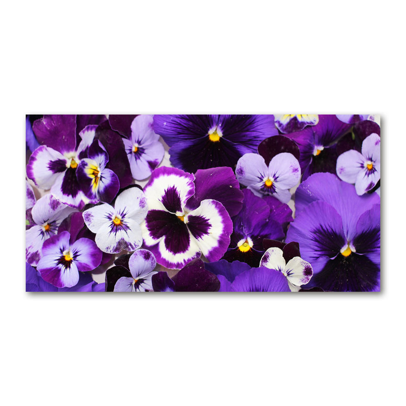 Pansies - Wrapped Canvas Print, 50cm H X 100cm W