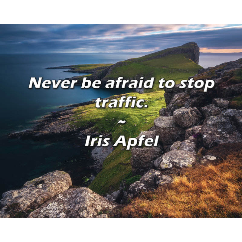 Artsy Quote "Never be afraid to stop traffic." By Iris Apfel Gallery Wrapped Canvas, 24" H x 17" W