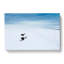 Playing Penguins - Wrapped Canvas-55324719