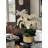 Helena Boat Planter With Phaleanopsis Orchids-111971878
