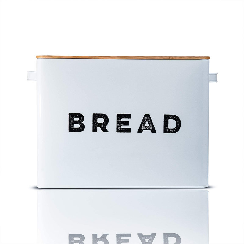 Parkinson 482ml Food Storage Container