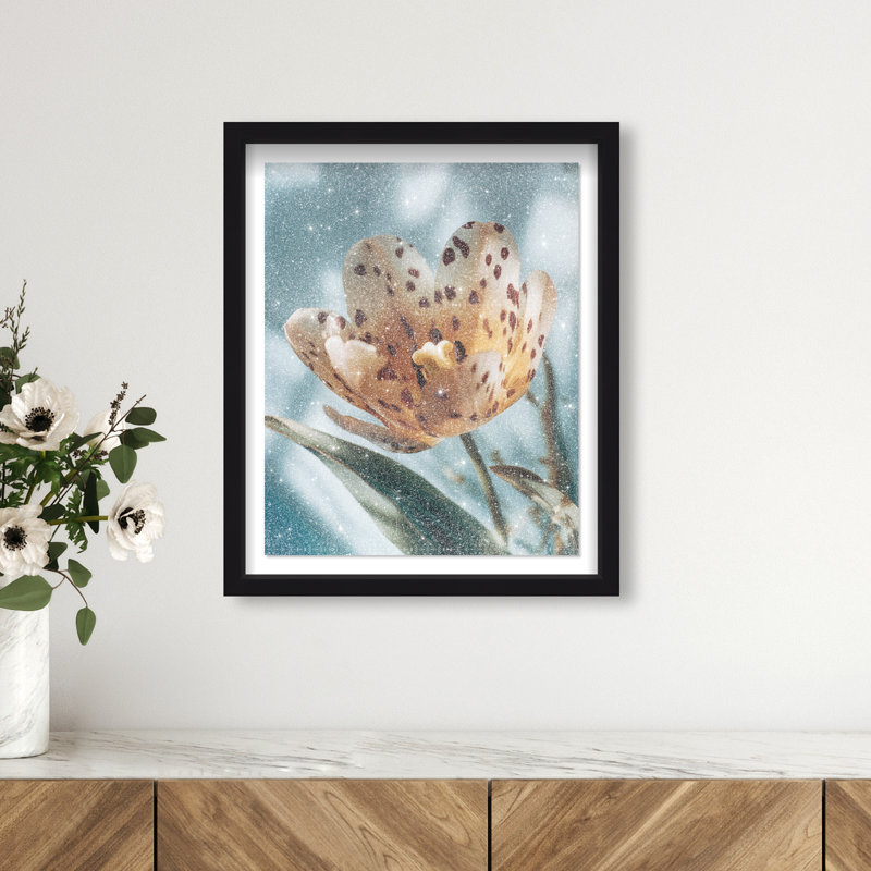 Dapple Bloom II Framed Graphic Art, 31.5"H x 25.5"W, Black Shadowbox