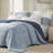 Reversible Modern Bedding Set With Breathable Blue Nylon Shell, Queen/full