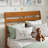 Areya Bed Kids Bed-1650418295-1650418282