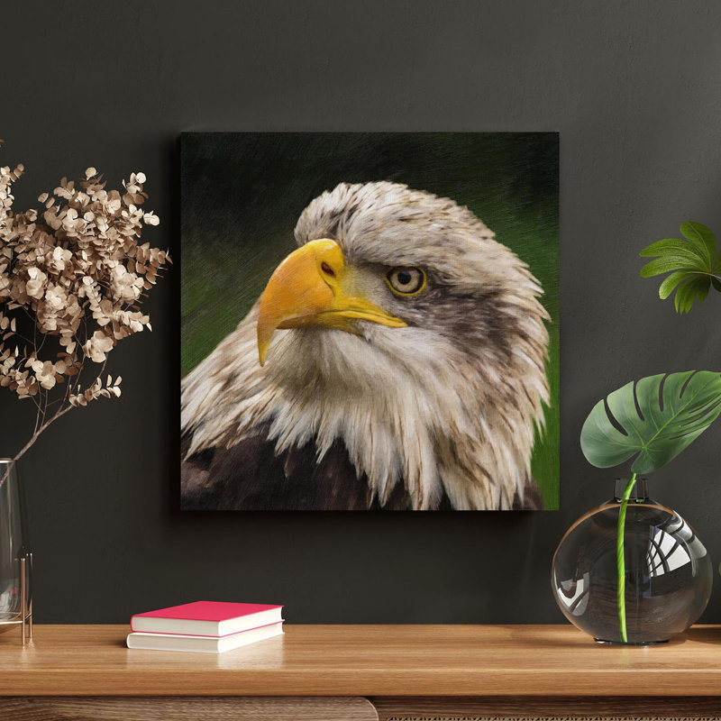 Aigle brun et blanc en gros plan, reproduction d'art graphique sur toile tendue 1 pièce, H 32 po x l 32 po x P 2 po