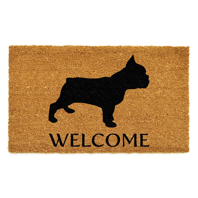 Non-Slip Indoor Doormat, 24" W x 36" L