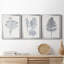 «Indigo Botany Study VI», ensemble de 3 reproductions d'art encadrées-1958800884-1958800883