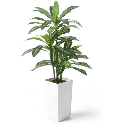 4 FT Artificial Dracaena Tree, Fake Plant in Modern White Planter with Moss Décor, 48 Inch Realistic Faux Floor Tree for Home Office Living Room Decor