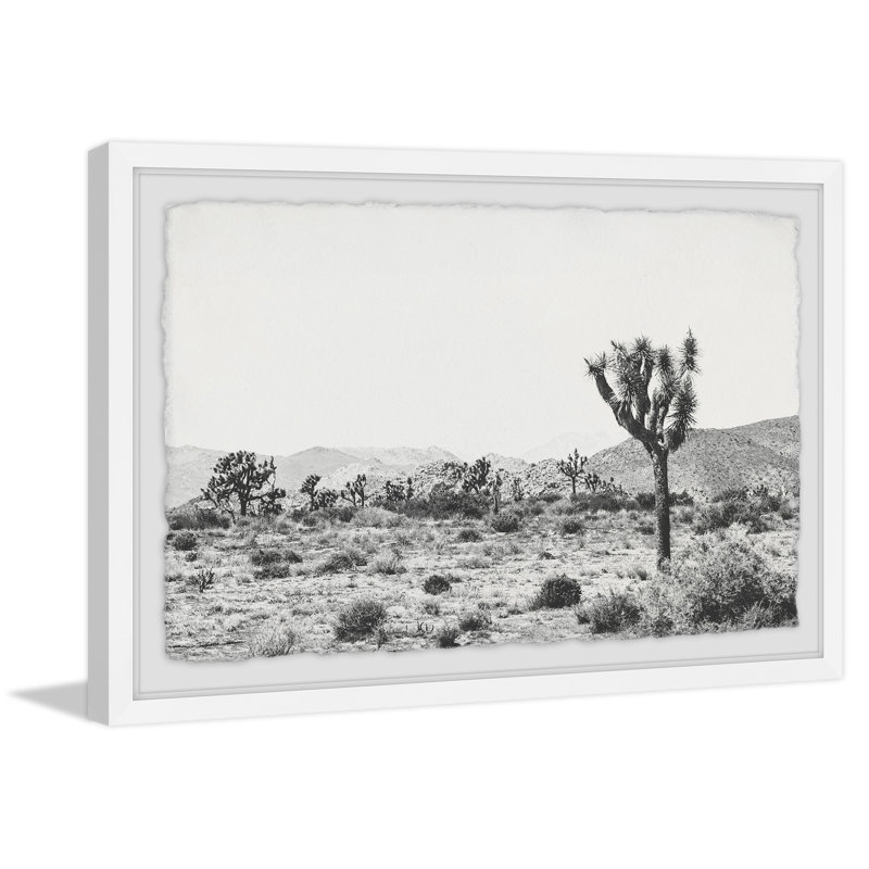 Joshua Tree by Ann Barnes - Single Picture Frame Print, 20cm H x 30cm W x 4cm D