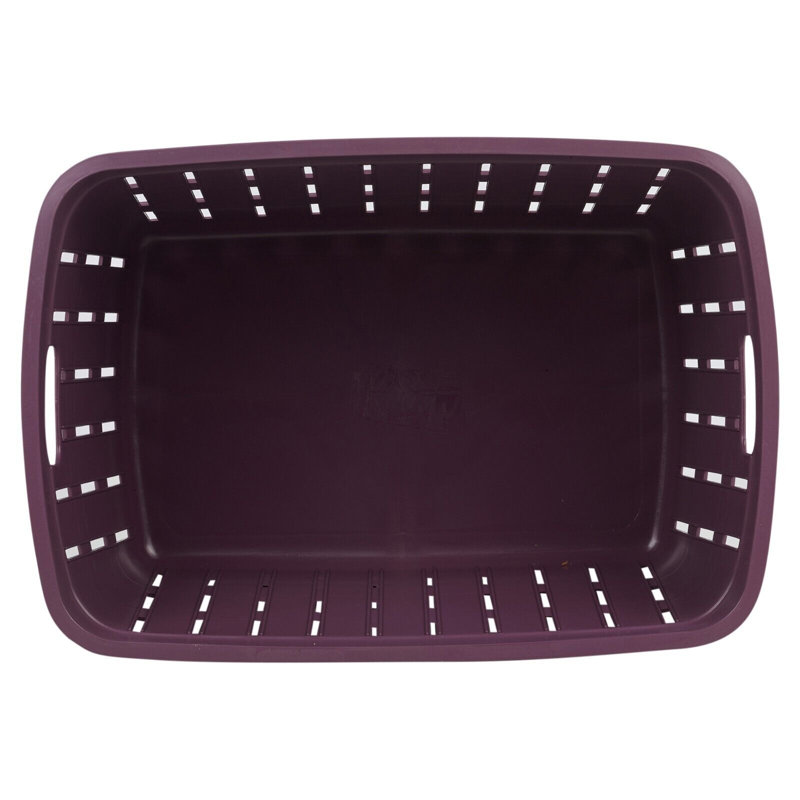 Rebrilliant Plastic Storage Tub & Tote, Purple