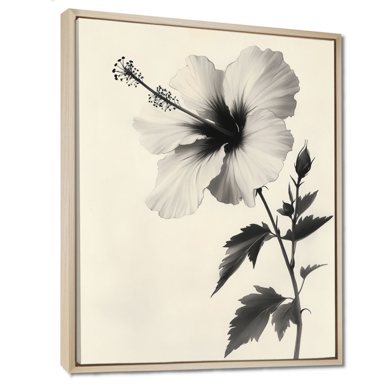 Tige d'hibiscus esquissée - Tableau botanique beige encadré sur toile, H 20 po x l 12 po, Cadre naturel flottant