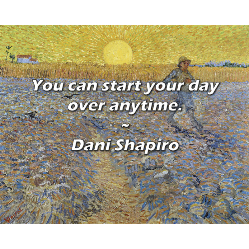 Citation de Dani Shapiro: vous pouvez commencer votre journée à tout moment.