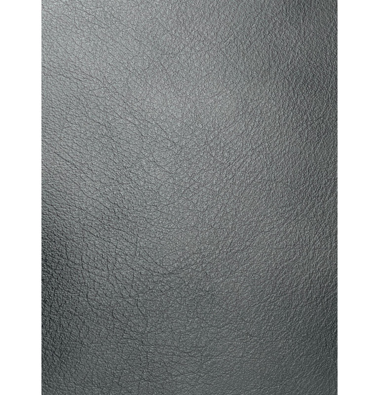 Canapé en cuir 809
