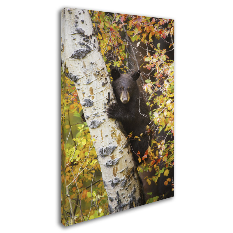 «Kadey Animal», reproduction de photo sur toile 38 po, H 24 po x l 16 po x P 2 po