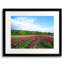 Tulip Fields Print by Tom Kostes-1731537834