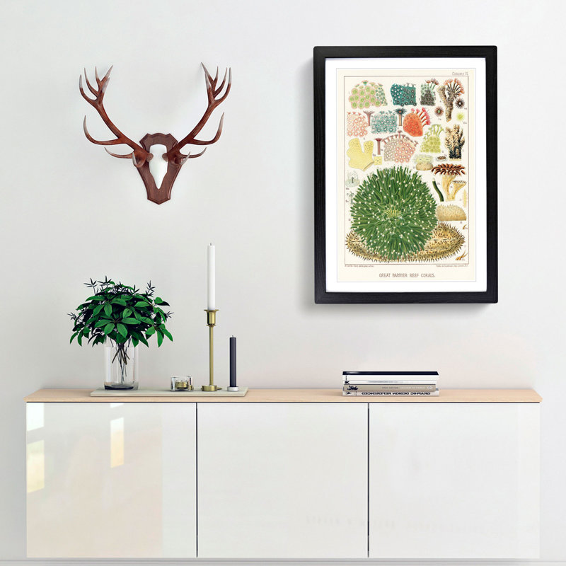 Great Barrier Reef Corals by W. Saville-Kent - Picture Frame Painting Print, Black Framed, 65cm H x 48cm W x 2cm D
